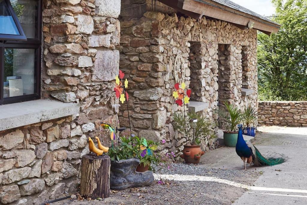 Kingsford Renovated Old Cottage ويكسفورد المظهر الخارجي الصورة