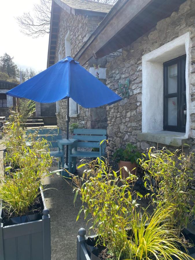 Kingsford Renovated Old Cottage ويكسفورد المظهر الخارجي الصورة
